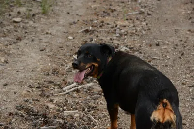 DSC_3276 (Large).JPG